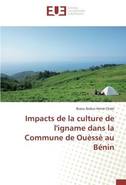 portada Impacts de la culture de l'igname dans la Commune de Ouèssè au Bénin (French Edition)