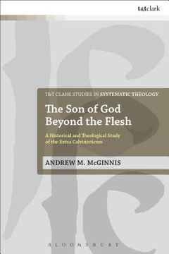 portada The Son of God Beyond the Flesh (in English)