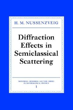 portada Diffraction Effects Semiclass Scatt (Montroll Memorial Lecture Series in Mathematical Physics) (en Inglés)