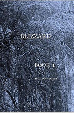 portada Blizzard Book 1 Linda ann Martens (en Inglés)