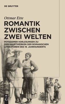 portada Romantik Zwischen Zwei Welten: Potsdamer Vorlesungen Zu Den Hauptwerken Der Romanischen Literaturen Des 19. Jahrhunderts 