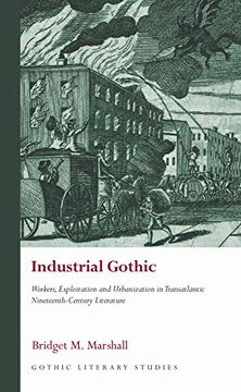 portada Industrial Gothic: Workers, Exploitation and Urbanization in Transatlantic Nineteenth-Century Literature (Gothic Literary Studies) (en Inglés)