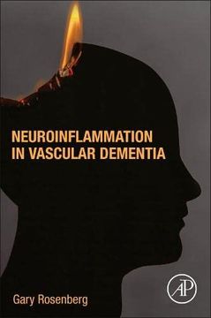 portada Neuroinflammation in Vascular Dementia (in English)