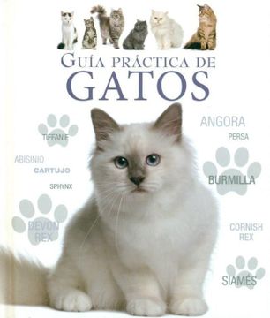 portada Guia Practica de Gatos