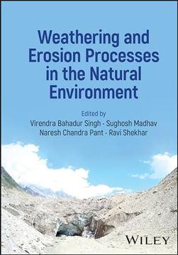 portada Weathering and Erosion Processes in the Natural Environment
