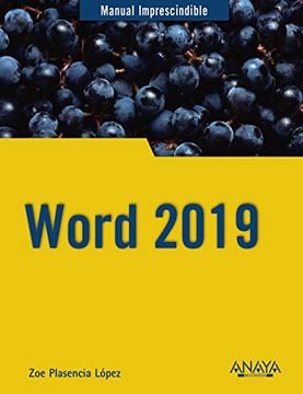 portada Word 2019 (Manuales Imprescindibles)
