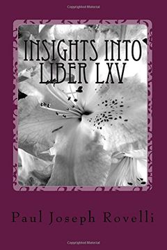 portada Insights Into Liber LXV