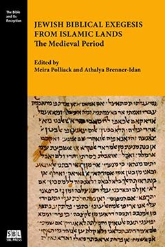 portada Jewish Biblical Exegesis From Islamic Lands: The Medieval Period (Bible and its Reception) (en Inglés)