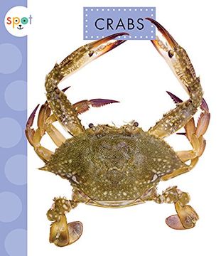 portada Crabs (Spot Ocean Animals) (in English)