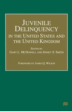 portada Juvenile Delinquency in the United States and the United Kingdom (in English)