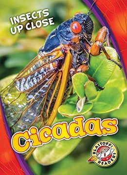 portada Cicadas (Blastoff! Readers, Level 1: Insects Up Close)