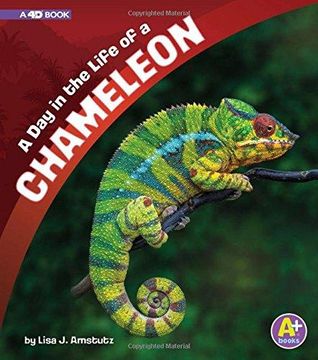 portada A day in the Life of a Chameleon: A 4d Book (en Inglés)