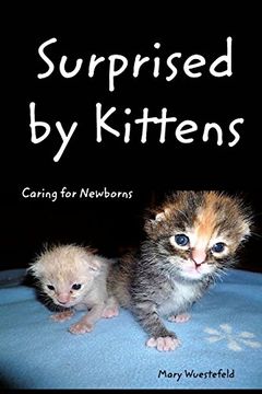 portada Surprised By Kittens: Caring for Newborns (en Inglés)