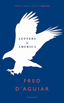 portada Letters to America (en Inglés)