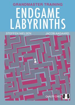portada Endgame Labyrinths (en Inglés)