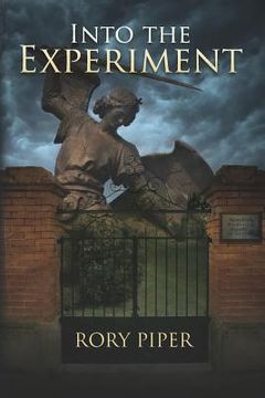 portada into the experiment (en Inglés)