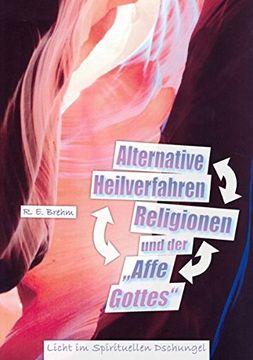 portada Alternative Heilverfahren, Religionen und der "Affe Gottes" (German Edition)