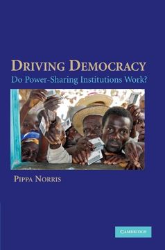 portada Driving Democracy Paperback: Do Power Sharing Institutions Work? (en Inglés)