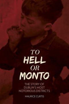 To Hell or Monto: The Story of Dublin's Most Notorious Districts (en Inglés)