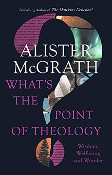 portada What's the Point of Theology?  Wisdom, Wellbeing and Wonder