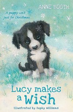 portada Lucy Makes a Wish (in English)