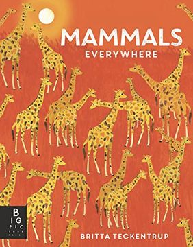 portada Mammals Everywhere (Animals Everywhere) (en Inglés)