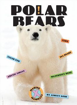 Polar Bears (en Inglés)