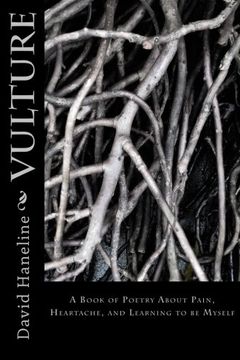 portada Vulture: A book of poems about pain, heartache, and learning to be myself