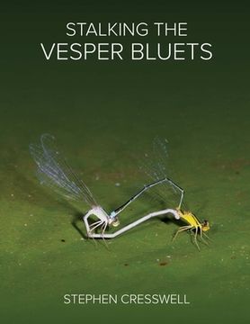 portada Stalking the Vesper Bluets (en Inglés)