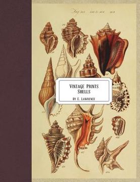 portada Vintage Prints: Shells (in English)