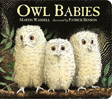 portada Owl Babies