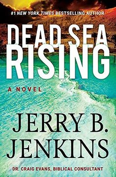 portada Dead sea Rising (Dead sea Chronicles) (in English)