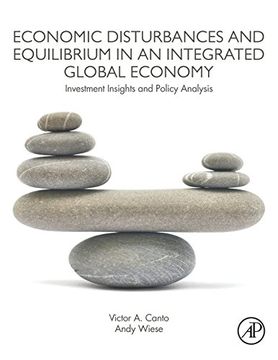 portada Economic Disturbances and Equilibrium in an Integrated Global Economy: Investment Insights and Policy Analysis (en Inglés)