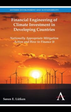 portada Financial Engineering of Climate Investment in Developing Countries (en Inglés)