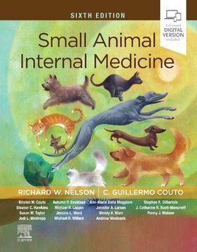 portada Small Animal Internal Medicine, 6e (in English)