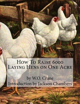 portada How To Raise 6000 Laying Hens on One Acre