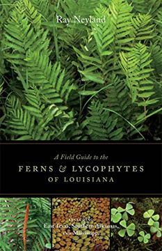 portada A Field Guide to the Ferns & Lycophytes of Louisiana: Including East Texas, Southern Arkansas, and Mississippi (en Inglés)