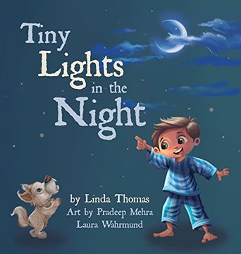 portada Tiny Lights in the Night