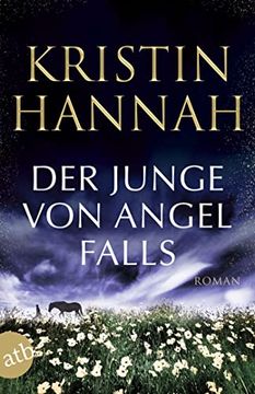 portada Der Junge von Angel Falls: Roman (en Alemán)