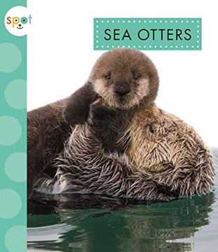 portada Sea Otters (Spot Arctic Animals) (en Inglés)