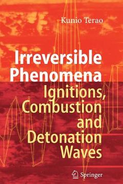 portada irreversible phenomena: ignitions, combustion and detonation waves