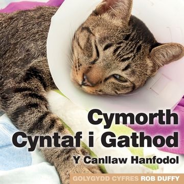 portada Cymorth Cyntaf i Gathod: Y Canllaw Hanfodol