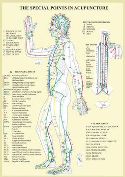 portada Special Points in Acupunture -- a4 (in English)