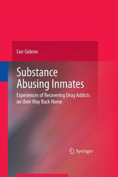 portada Substance Abusing Inmates: Experiences of Recovering Drug Addicts on Their Way Back Home