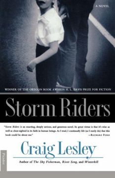 portada Storm Riders: A Novel (in English)