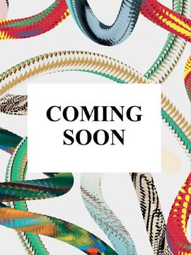 THE BIG BOOK OF LEGS (en Inglés)