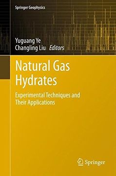 portada natural gas hydrates