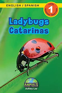 portada Ladybugs (in Spanish)