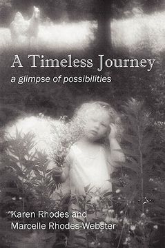 portada a timeless journey: a glimpse of possibilities (en Inglés)