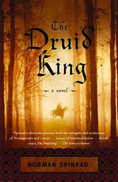 portada The Druid King (en Inglés)